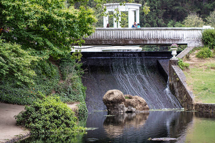 Freiwilligenarbeit im Botanischen Garten in Chile 