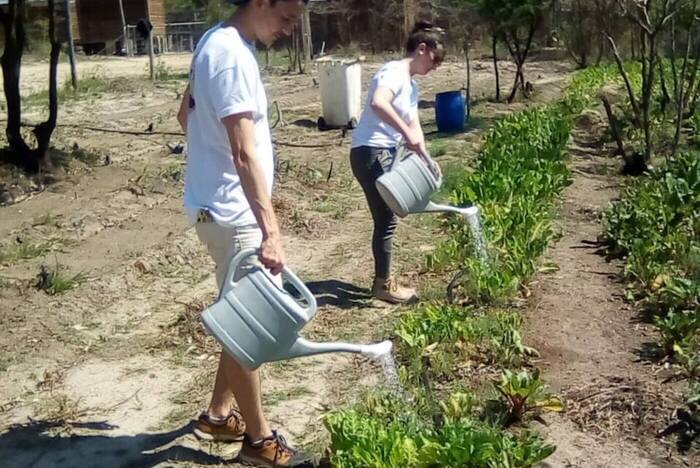 Umweltschutz Projekt in Südafrika