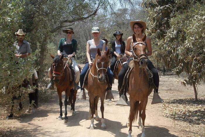 Volunteers auf der Pferdefarm in Peru