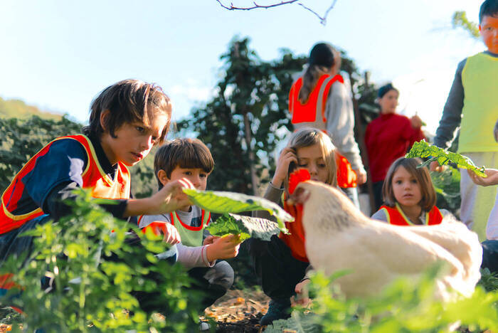 Kinder in der Natur beim Kinderprojekt in Barcelona