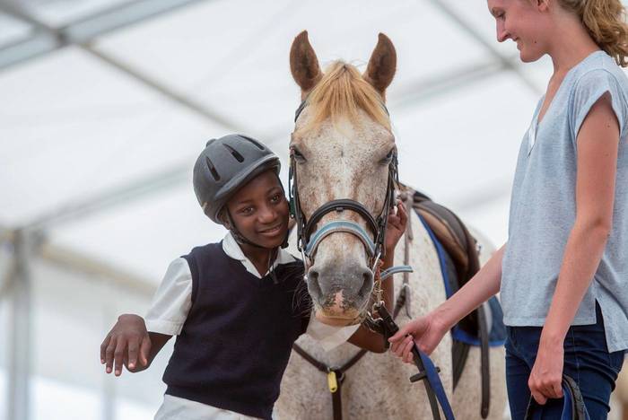 Südafrika Reiten und Pferde