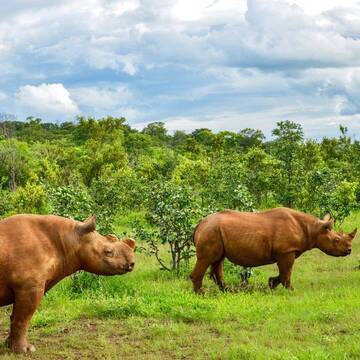 Freiwilligenarbeit in Simbabwe