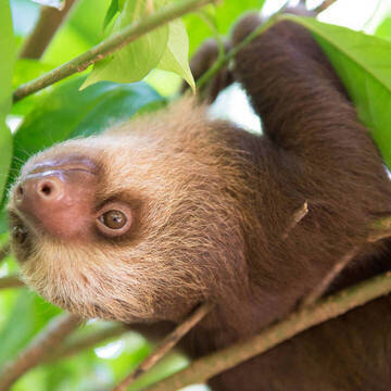 Costa Rica Freiwilligenprojekte