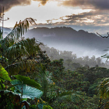 Ecuador Freiwilligenprojekte