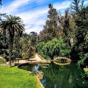 Chile Botanischer Garten 