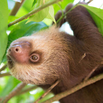 Costa Rica Freiwilligenprojekte