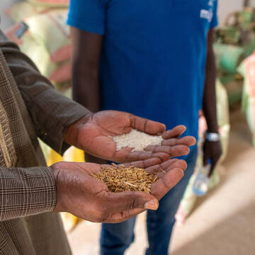 Handwerk im Senegal