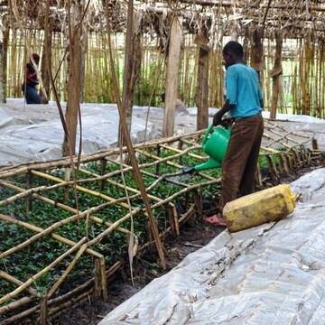 Umwelt & Klima in Uganda