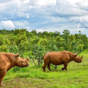 Freiwilligenarbeit in Simbabwe