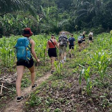 Volunteer-Tätigkeiten im Umweltschutz & Naturschutz