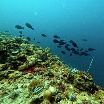 Umwelt & Klima in Tansania