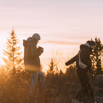 Freiwilligenarbeit in Island