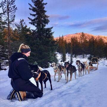 Freiwilligenarbeit in Schweden