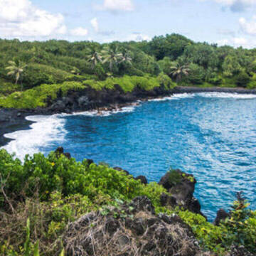 Freiwilligenarbeit auf Hawaii