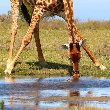 Freiwilligenarbeit in Südafrika