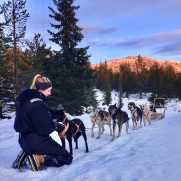 mit süßen Huskys in Lappland