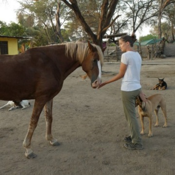 Erfahrung von Anna auf der Pferdefarm
