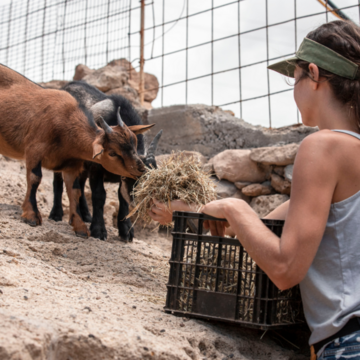 im Tierschutz auf Teneriffa