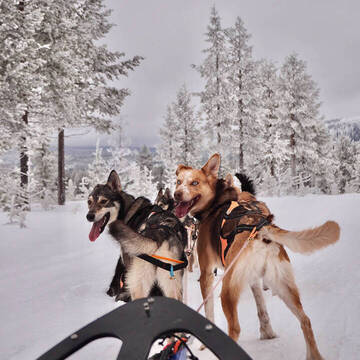 Schweden Gruppenreise