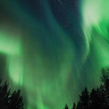 Freiwilligendienst in Finnland