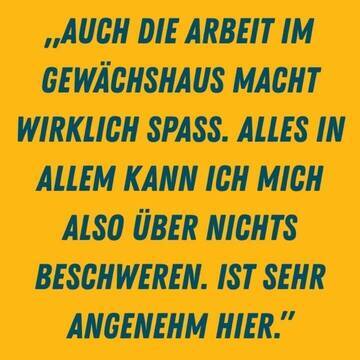 Erfahrung von Jasper