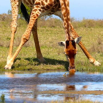 Freiwilligenarbeit in Südafrika
