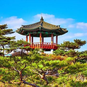 Freiwilligenarbeit in Südkorea