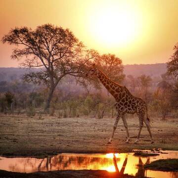 Entdecke jetzt dein Volunteering in Simbabwe