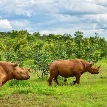Freiwilligenarbeit in Simbabwe