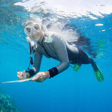 Tauchen in Australien