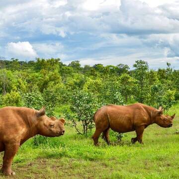 Freiwilligenarbeit in Simbabwe