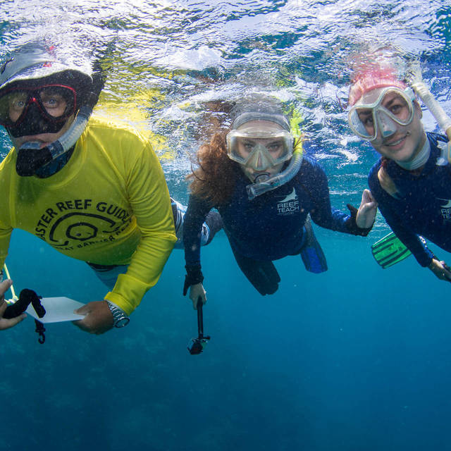 Portrait Team in Nord-Queensland, Australien 