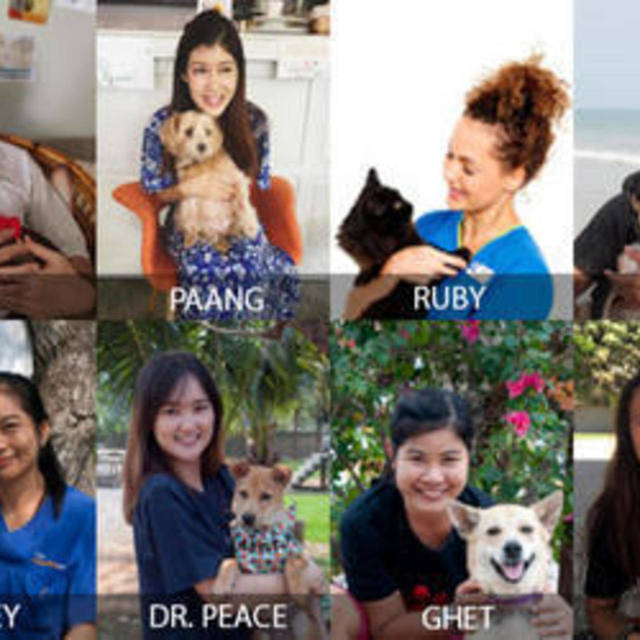 Portrait Team in Thailand